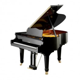 Piano à queue W.Hoffmann vision 175 Piano à queue W.Hoffmann vision 175