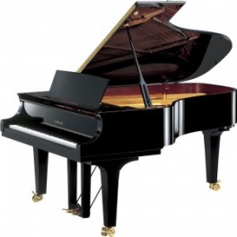 Piano à queue W.Hoffmann vision 158 Piano à queue W.Hoffmann vision 158