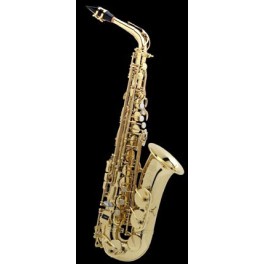 Saxophone Selmer Alto Super Action II Saxophone Selmer Alto Super Action II